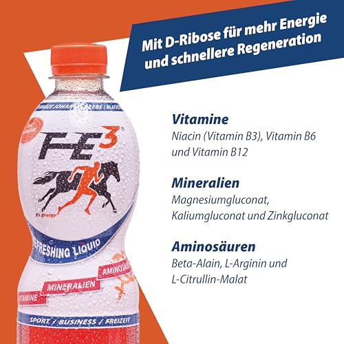 FE³ by Fix Energy im Vorratspack (6 x 500ml) – Johannisbeer-Geschmack, mit Koffein, D-Ribose, Mineralien, Vitaminen & Aminosäuren – Erfrischend für Sport, Freizeit & Business