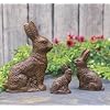Primitive Set 3 Chocolate Bunny Mold Figurine Rabbit Statue Figures for Home Farmhouse Kitchen Party Holiday Decor