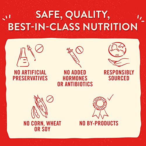 Stella & Chewy's Freeze-Dried Raw Lil' Bites Chicken Little Recipe Small Breed Dog Food, 7 oz. Bag (Pack of 2) - image 7