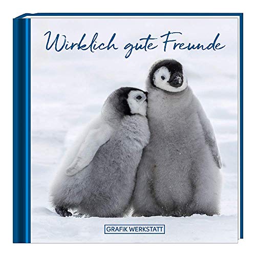 Wirklich gute Freunde: Minibuch Wirklich gute Freunde: Minibuch