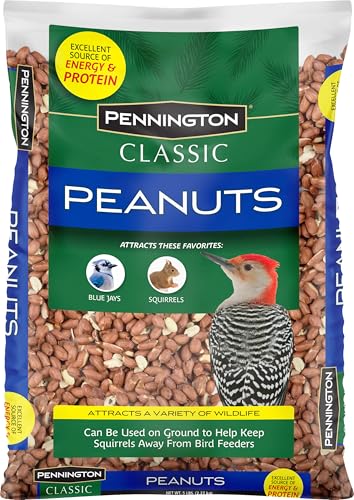 Pennington Classic Shelled Peanuts 5 pounds