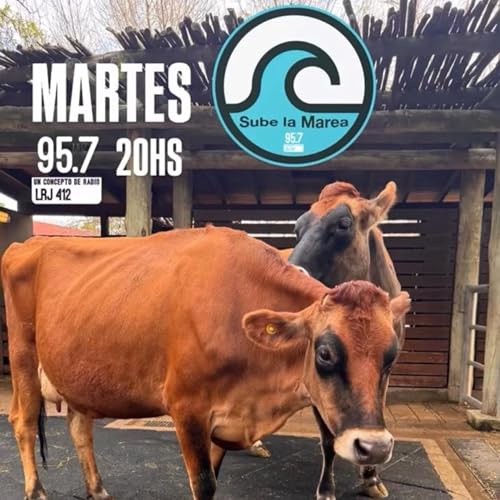 Couverture de #SubeLaMarea - Hablamos que se necesita para una juntada de lujo con amigos en un asado , picadas , bebidas , postres, música, secretos que no puede faltar y mucho mas en este imperdible programa !!