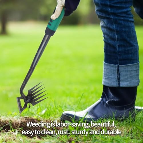 Anyingkai 2 Piezas Extractor de Malas Hierbas Manual,Desmalezar para Patio y Jardín,Multifunctional Weeder Tools,Weeder Puller Stand Up,Weed Removal Tool Long Handle,Eliminar Malas Hierbas (Grandes) - Image 6