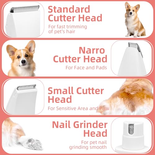 Electric Dog Paw Trimmer Dog Grooming Kit, 4 in 1 Paw Trimmer for Small Dogs Cats Grooming Quiet, Rechargeable and Plug-and-Play Paw Trimmer for Dogs Grooming Hair, Paws, Eyes, Ears, Face Electric Dog Paw Trimmer Dog Grooming Kit, 4 in 1 Paw Trimmer for Small Dogs Cats Grooming Quiet, Rechargeable and Plug-and-Play Paw Trimmer for Dogs Grooming Hair, Paws, Eyes, Ears, Face