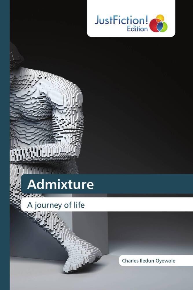 Admixture: A journey of life le livre inspirant pour vos moments de lecture
