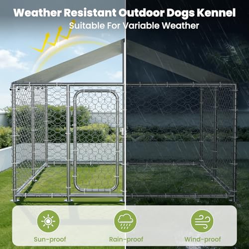 7.5x7.5 Large Outdoor Dog Kennel Outside with Roof