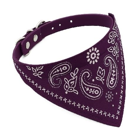 Collar Ajustable para Gatos y Perros, Ligero, cómodo y Seguro, Ideal para Interior y Exterior, Gargantilla de 20 a 26 cm, diseño Elegante para felinos (Morado)