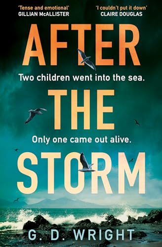 After the Storm: Loved by Claire Douglas, Lisa Jewell and Gillian McAllister, don’t miss the best debut crime drama novel for summer 2025, perfect for fans of Broadchurch and Happy Valley
