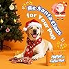ChienBox Dog Toys for Aggressive Chewers: Gift Box with 3 Pack Dog Chew Toys, Indestructible Tough Dog Toys to Keep Them Busy, Dog Teething Bones for Small Medium Large Breeds 25-90 lbs, Bacon Flavor #1