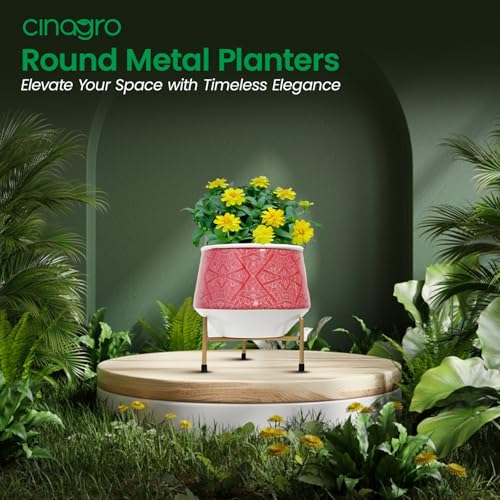 Image of CINAGRO Metal Flower Vase Planter Pot with Iron Stand, Pots for Plants, Plant Pots for Home Decoration, Succulent Pot, Indoor Planter Garden Decor Style: Scarlette Splendor