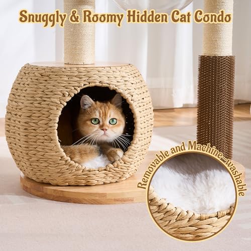 Árbol moderno para gatos pequeños y medianos de interior, 38" alto, madera y ratán miniatura 4