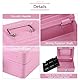 MOUMOUTEN Mini Safe Tresor, Tresor für Zuhause, Tragbares Abschließbares Bargeld Stahl mit Münztresor Sicherheitsbox mit 2 Schlüsseln,Tresor Feuerfest Wasserdicht (Rosa)