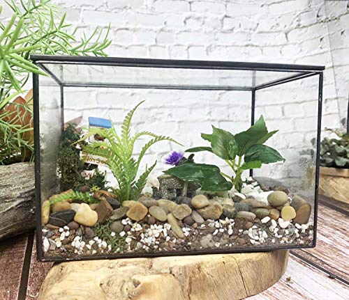 Ferrisland TERRARIUM 001 Glass Plant Terrarium Container Wardian Case Indoor Small Succulent Terrarium Planter W/Door thumb #1