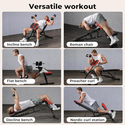 Centra Adjustable Weight Bench for Home Gym, 660LB/300KG Hyperextension Roman Chair with 8 Backrest & 4 Leg Positions, Heavy Duty FID Bench for Full Body Strength Training - Image 3