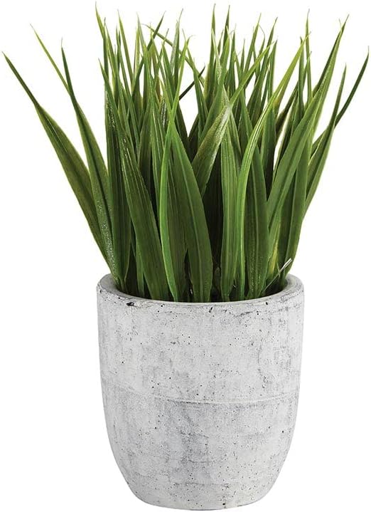 47th & Main Artificial Plant Indoor Faux Plant in Pot, 6.5-Inches High, Grass/Cement