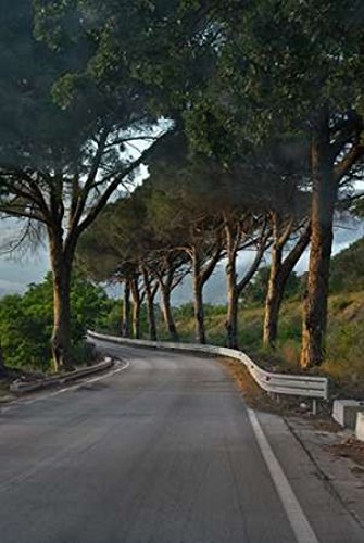 Winding Road Poster Print by JoAnn T. Arduini (24