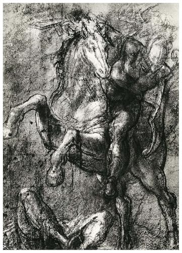 Affiche Cavalier de Tiziano Vecelli 60x90cm poster impression sur toile animaux de célébrité