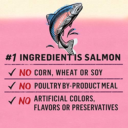 Beyond 00017800176972 Purina Beyond Grain Free, Natural Pate Wet Cat Food thumb #5