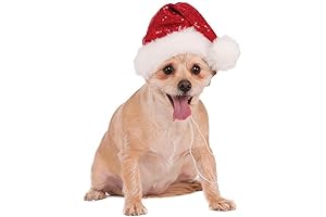 Sparkling Santa Hat for Merry Doggos