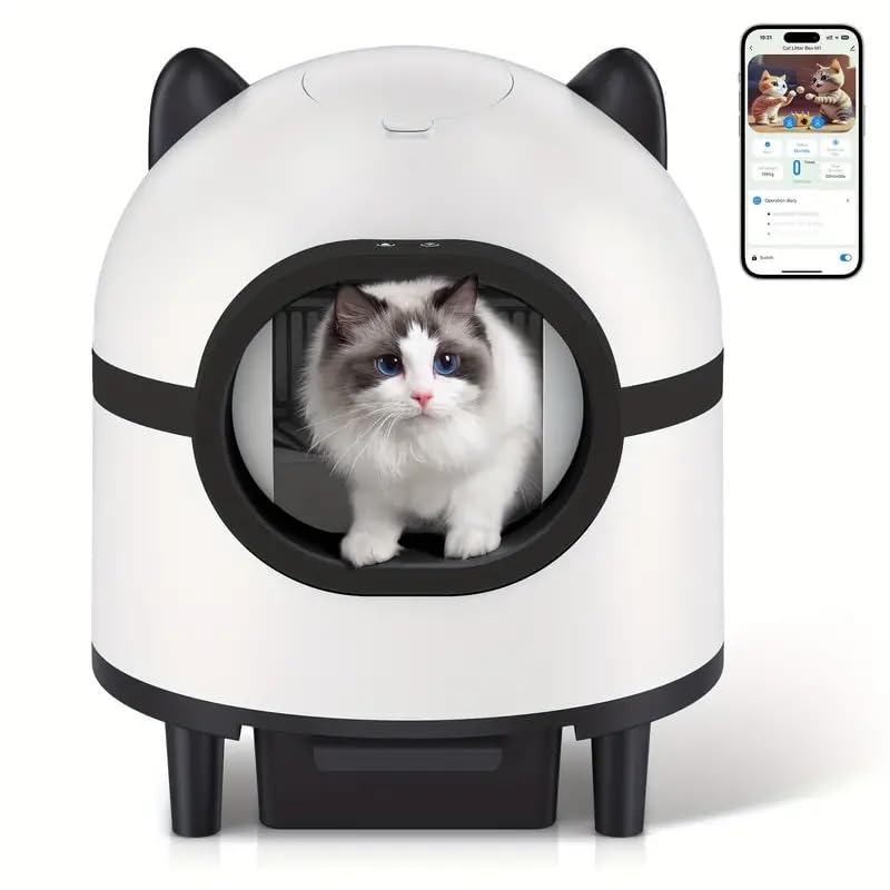 https://m.media-amazon.com/images/I/51Vh-V7orLL.jpg
