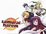 Samurai Harem
