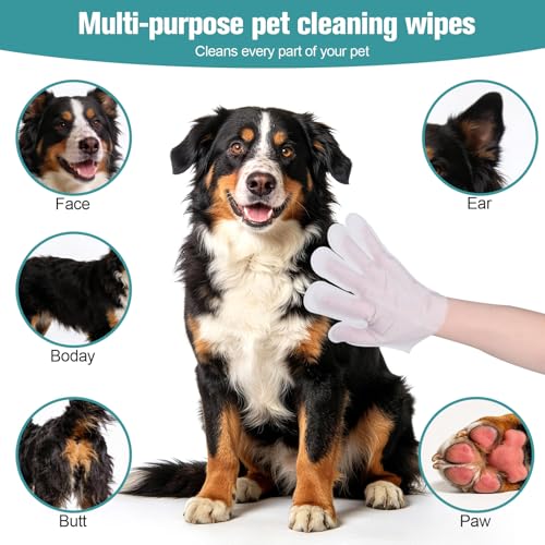 DWDHYEAN 24 Stück Hypoallergene Reinigungshandschuhe für Haustiere Handschuhtücher für Hunde Katzen Sanfte Reinigung Geruchsentfernung Antiallergisch Hautfreundlich