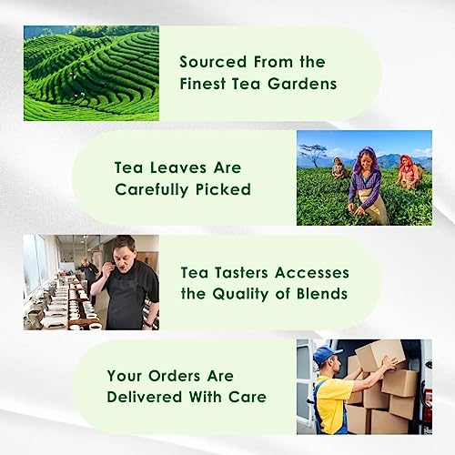 Image of Tealeaf & Co. Classic Green Tea Loose Leaf - 100% Organic Green Tea - Contains Low Caffeine - Upto 50 Servings - Gluten Free (3.52oz /100gm)
