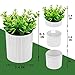 Denture Bath, Invisible Denture Case Designed As Artificial Eucalyptus Potted Plants, Denture Cup With Strainer For Retainer, Mouth Guard & Dentures, Perfect For Home Decoration…