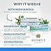 Auromere Ayurvedic Herbal Toothpaste, Foam Free Mint - Vegan, Natural, Non GMO, SLS-Free, Flouride Free, Gluten Free, with Neem & Peelu (4.16 oz), 1 Pack