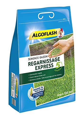 ALGOFLASH Semence Gazon Regarnissage SEMEX3