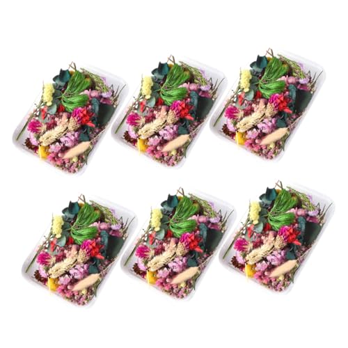 Flores Secas Prensadas para Manualidades y Decoración