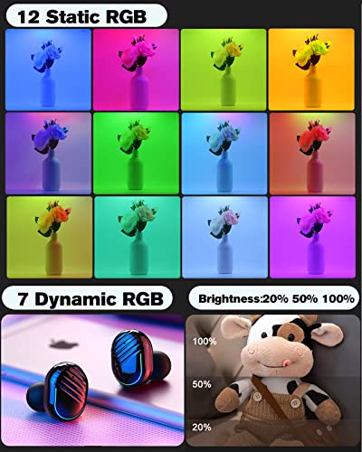 Temery Rgb Portable Photo Studio Light Box - 16" X 12" Pro Light Box Photography Dimmable Shooting Tent Kit With 168Pcs Led Lights, 12 Rgb Colors Foldable Photo Box , 4 Color Backdrops, Remote Control #TOP2