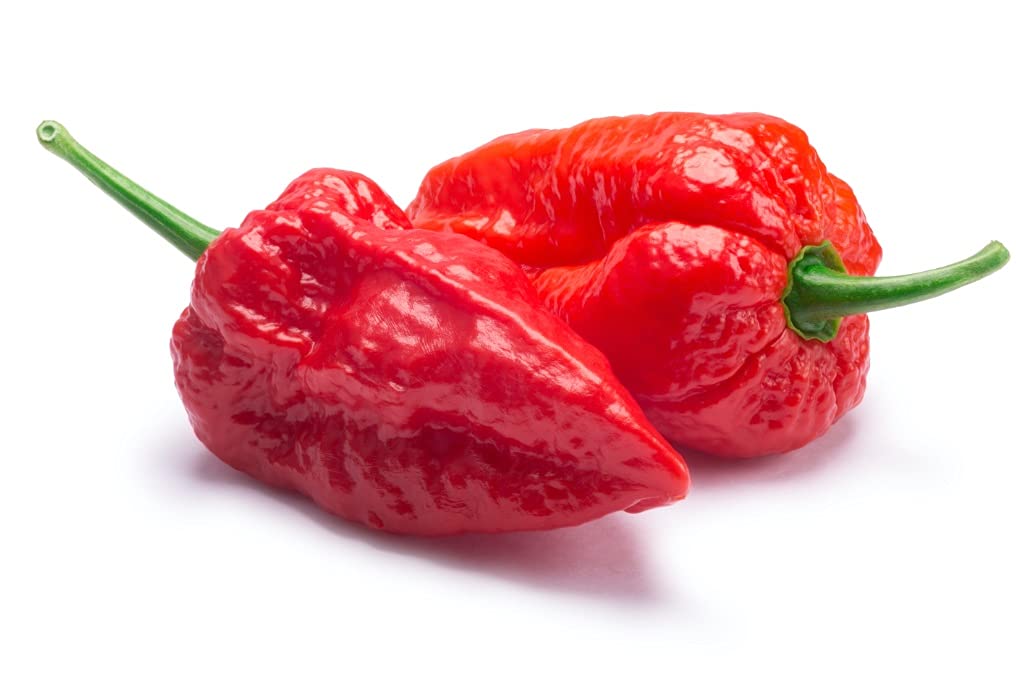 Golden Hills Farm hybrid NAGA Chilli Ghost Pepper World Hottest Chilli 40+ seeds (B093DR5LK6) Amazon Price History, Amazon Price Tracker