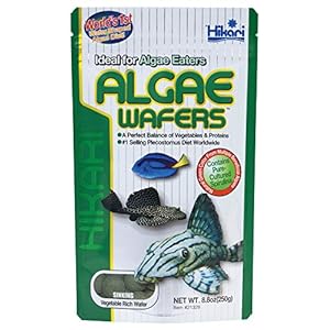 Hikari Usa Inc AHK21328 tropical Algae Wafer 8.8-Ounce