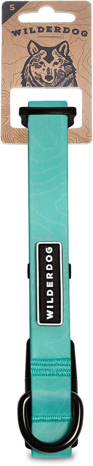 Collier imperméable pour chien de petite taille S 27-38cm