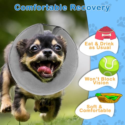 Inflatable Dog Cone Collar (M Size), Soft Blow-up Protective Recovery Dog Collar, Pet Donut Cone Collar, Comfy Elizabethan Collar After Surgery for Medium Dog to Prevent Biting Scratching, Grey Inflatable Dog Cone Collar (M Size), Soft Blow-up Protective Recovery Dog Collar, Pet Donut Cone Collar, Comfy Elizabethan Collar After Surgery for Medium Dog to Prevent Biting Scratching, Grey