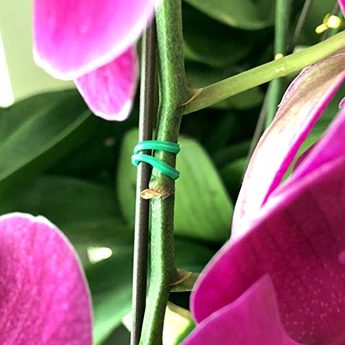 KLOUD City 328 Feet (100m) Green MultiFunction Sturdy Garden Plant