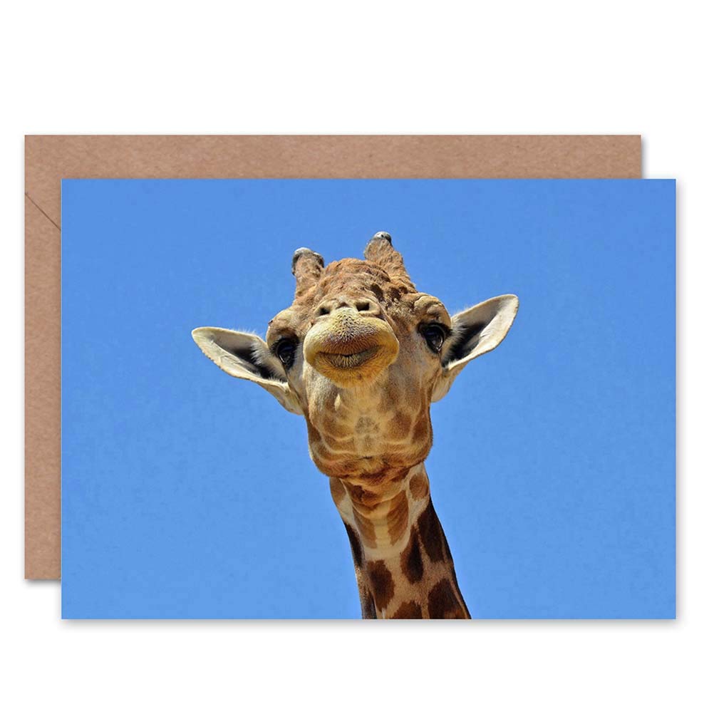 Wee Blue Coo AFRICAN GIRAFFE HEAD PORTRAIT BLUE SKY BIRTHDAY BLANK GREETINGS CARD