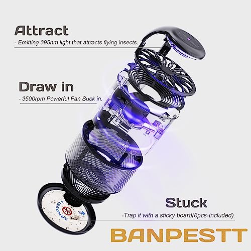 BANPESTT Automatic Insect Trap: Dusk-to-Dawn Sensor and Powerful Suction Quiet, Non-Zapper - image 4