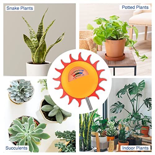 Brilliest Sun-Shaped Moisture Meter for Plants - Great for Potted Plants/Indoor Plants - Houseplant Water Meter - Soil Moisture Sensor - Plant Moisture Meter - Plant Accessories Indoor - Image 4