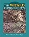 The Wizard Comes to Town (Mercer Mayer Picture Books)