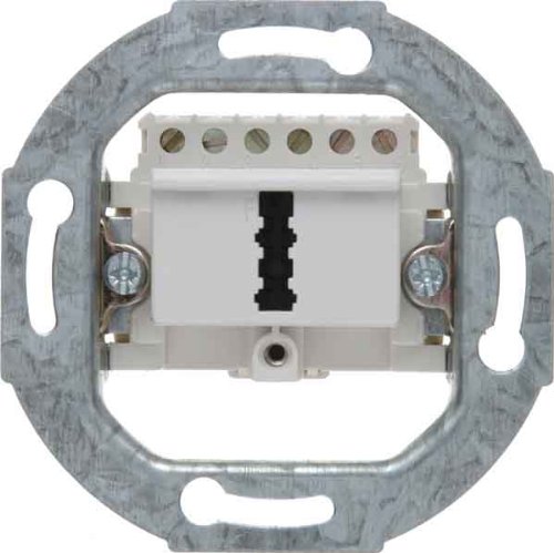 Preisvergleich Produktbild Berker TAE-Anschlußdose pws 448709