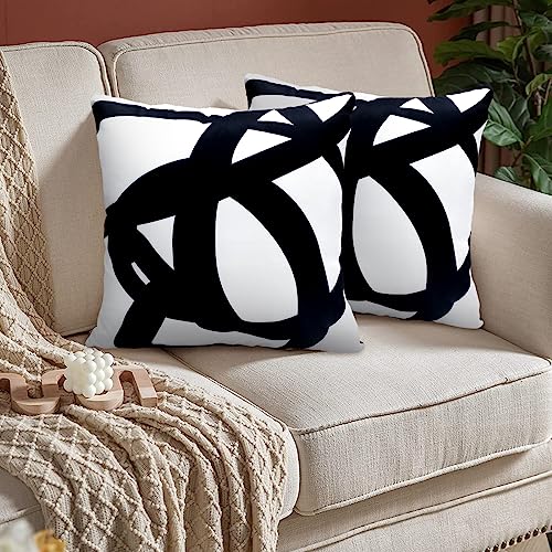 Hyopuo BLACK AND WHITE ABSTRACT-B Set Of 2 Black And White Boho Pillow Covers 18X18 Abstract Art Throw Pillow Covers Cushion Decorative Pillowcase For Sofa Couch Bed Home Outdoor thumb #5