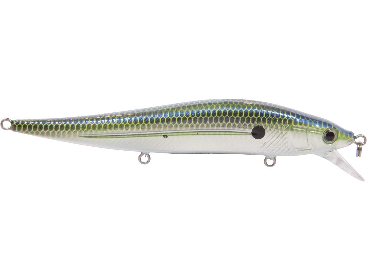 Livingston Lures 3431 Jerkmaster 121 Chrome XXX Shad Sporting Goods