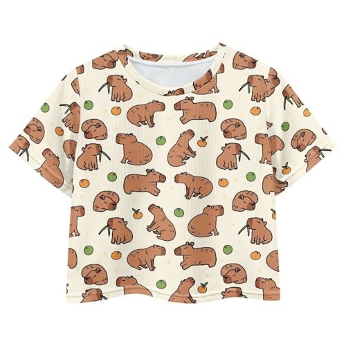 Image of Girls Crop Tees Crew Neck Casual Short Sleeve T Shirts Kids Loose Soft Comfortable Tees Blouses Shirt for Little Girl