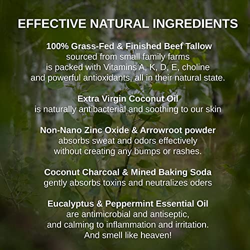 Shwally Zinc & Charcoal Deodorant – A True Natural, Tallow-Based & Effective Deodorant For Men & Women –– Aluminum Free & Hypoallergenic, With 100% Grass-Fed Tallow, Coconut, Zinc & Arrowroot – Concentrated, Lasts 4X Longer (Eucalyptus + Peppermint, 1.7 Oz) #TOP2