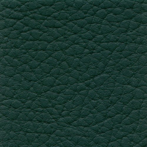 Xtreme Multipurpose Vinyl Upholstery Fabric Faux Leather - 54" Wide (Sample (3" x 3"), Forrest Green)