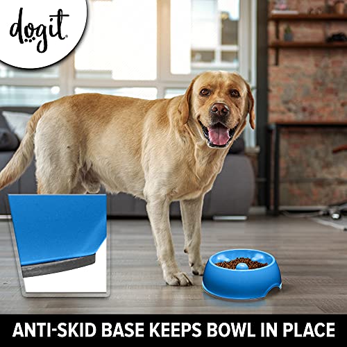 Dogit Go: Fressnapf für Hunde, langsames Fressen, geeignet für Nass- oder Trockenfutter, Medium, blau