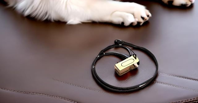 Foto 7 de 8 de Mythrojan Pet Training Clickers Combo Set, Dog Training Clicker with Leather Cord US Engraved Military Metal…