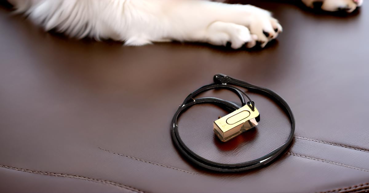 Mythrojan Pet Trianing Clicker della Seconda Guerra Mondiale degli Stati Uniti in Stile Militare statunitense, in Metallo con Incisione in Ottone e Acciaio, Confezione da 2
